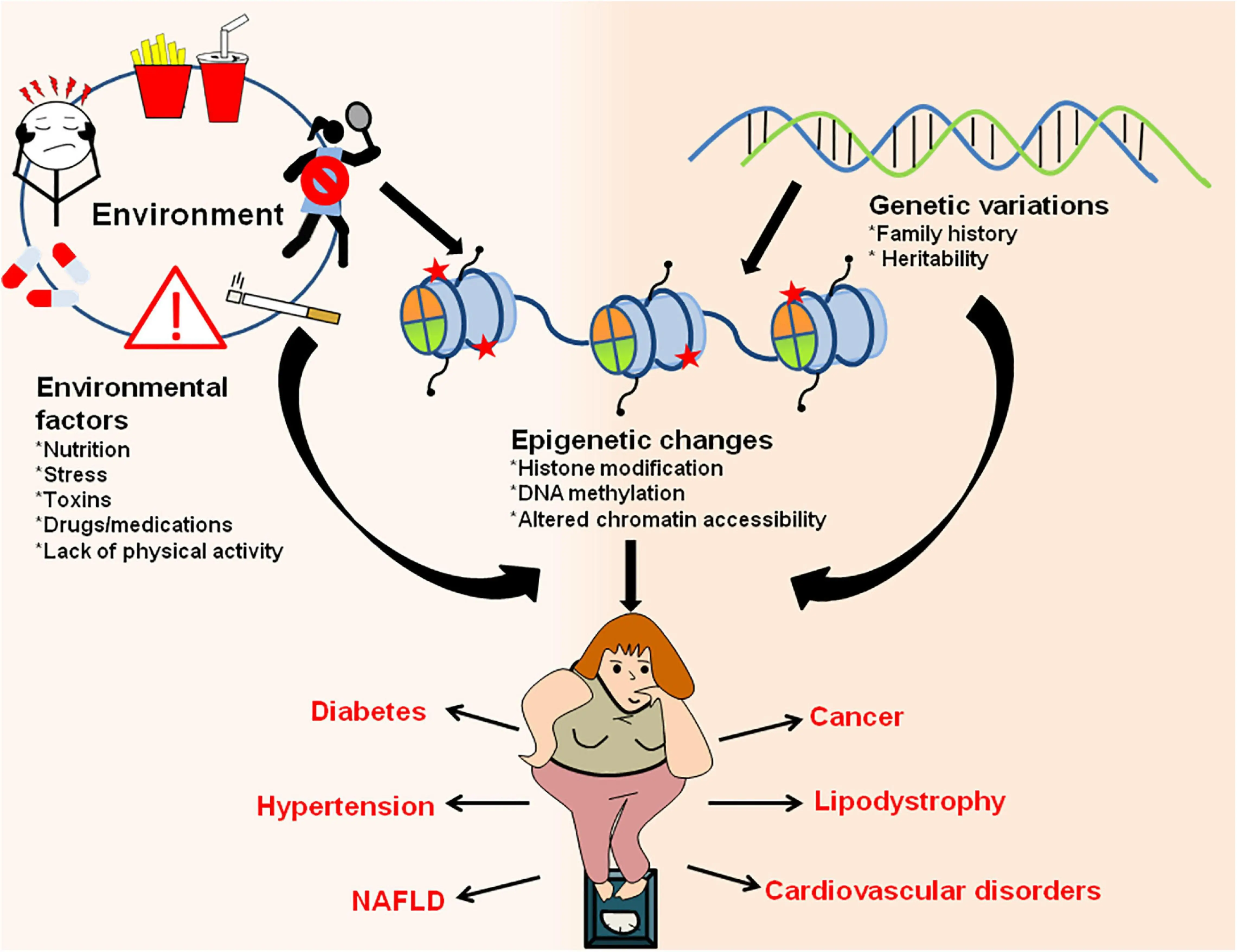 Environment & Genetic Factors